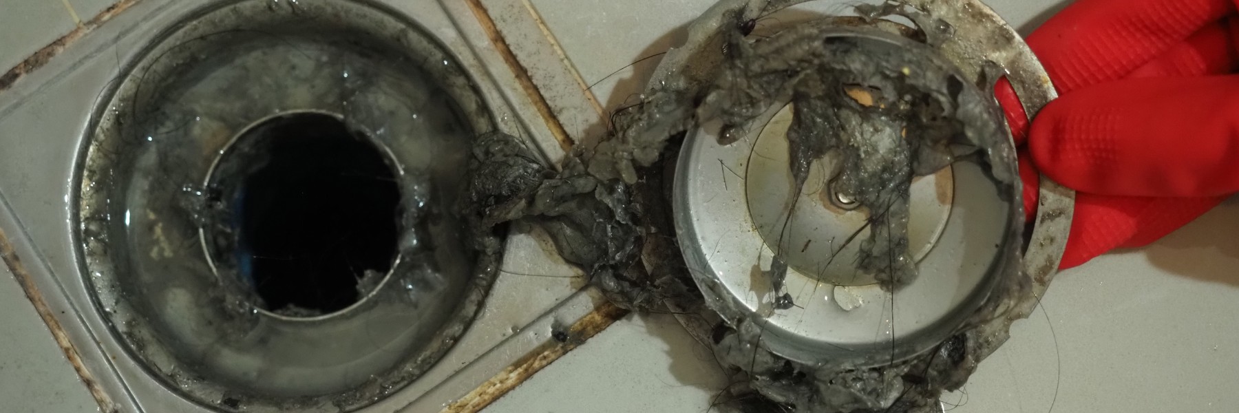 Plumbing and drain services in San Diego, CA